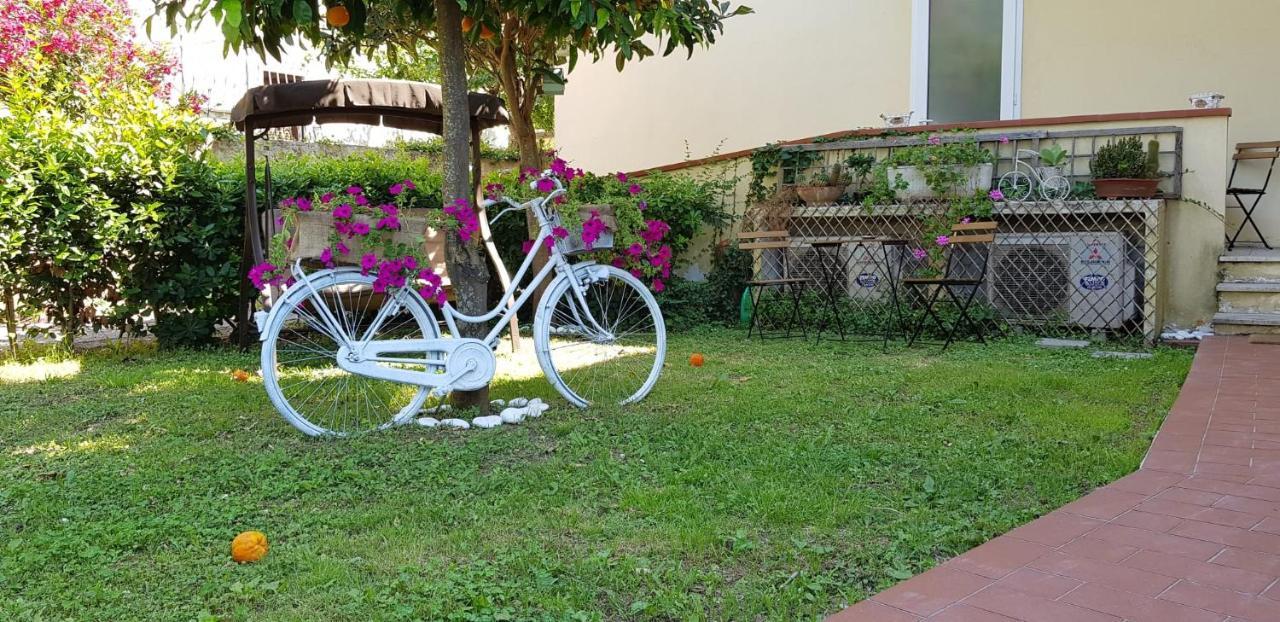 Villa Noemi Bed&Breakfast 比萨 外观 照片